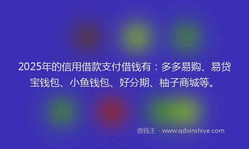 2025年的信用借款支付借钱有：多多易购、易贷宝钱包、小鱼钱包、好分期、柚子商城等。