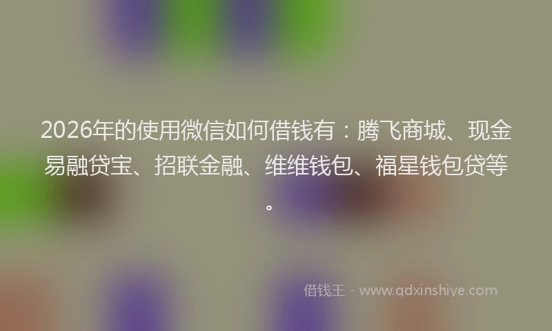 2026年的使用微信如何借钱有：腾飞商城、现金易融贷宝、招联金融、维维钱包、福星钱包贷等。