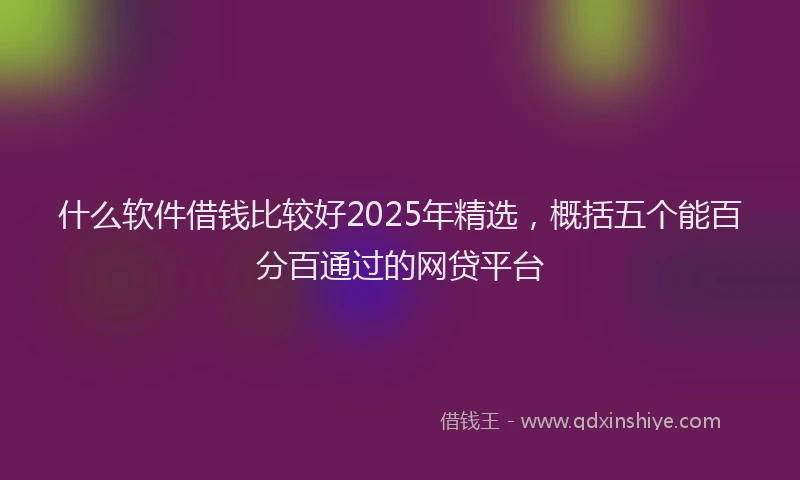 什么软件借钱比较好2025年精选，概括五个能百分百通过的网贷平台