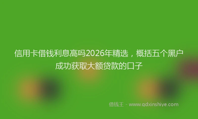 信用卡借钱利息高吗2026年精选，概括五个黑户成功获取大额贷款的口子