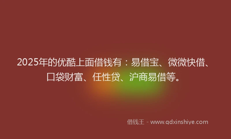 2025年的优酷上面借钱有：易借宝、微微快借、口袋财富、任性贷、沪商易借等。