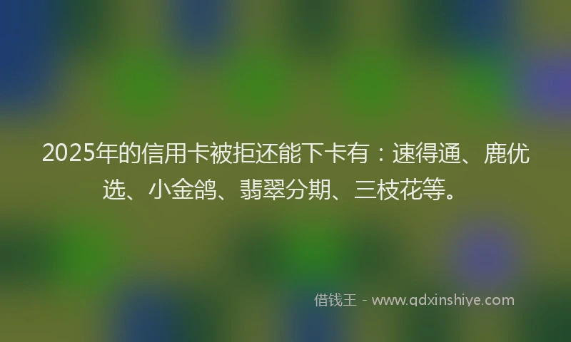 2025年的信用卡被拒还能下卡有:速得通、鹿优选、小金鸽、翡翠分期、三枝花等。