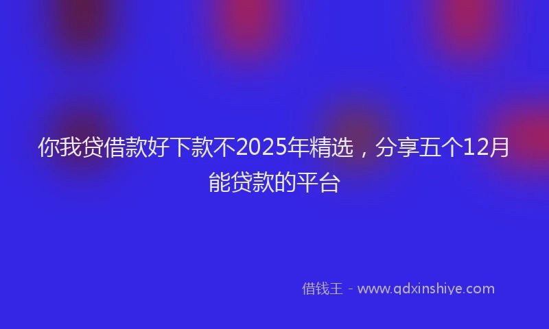 你我贷借款好下款不2025年精选，分享五个12月能贷款的平台