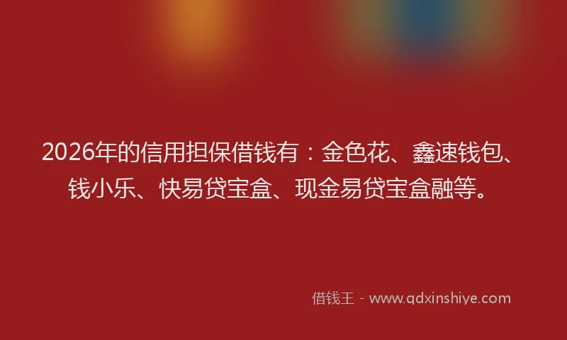 2026年的信用担保借钱有：金色花、鑫速钱包、钱小乐、快易贷宝盒、现金易贷宝盒融等。