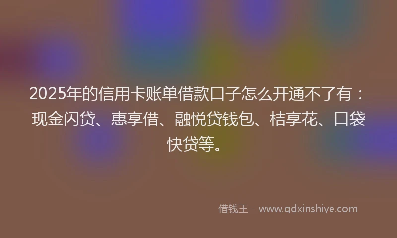 2025年的信用卡账单借款口子怎么开通不了有:现金闪贷、惠享借、融悦贷钱包、桔享花、口袋快贷等。
