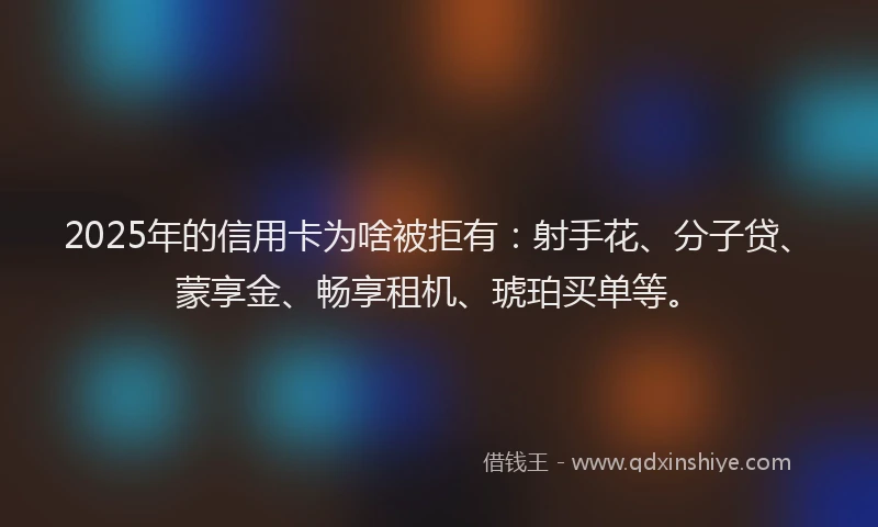 2025年的信用卡为啥被拒有：射手花、分子贷、蒙享金、畅享租机、琥珀买单等。