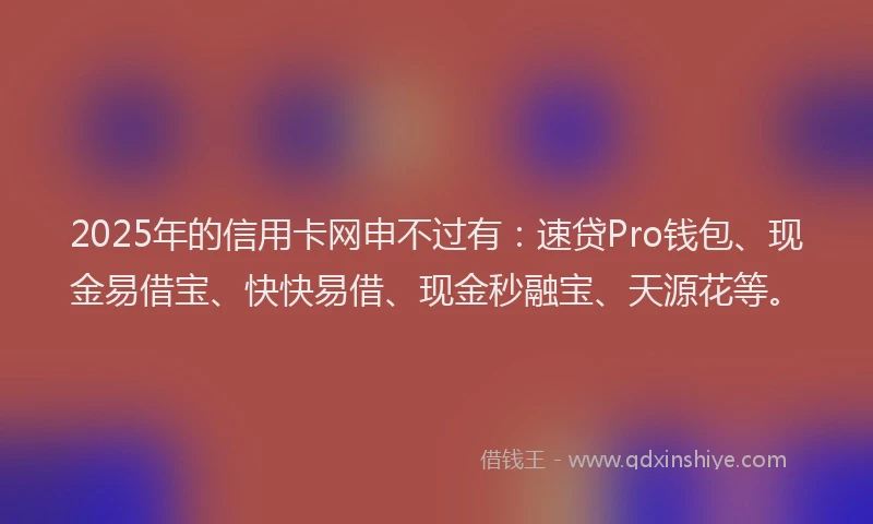 2025年的信用卡网申不过有：速贷Pro钱包、现金易借宝、快快易借、现金秒融宝、天源花等。