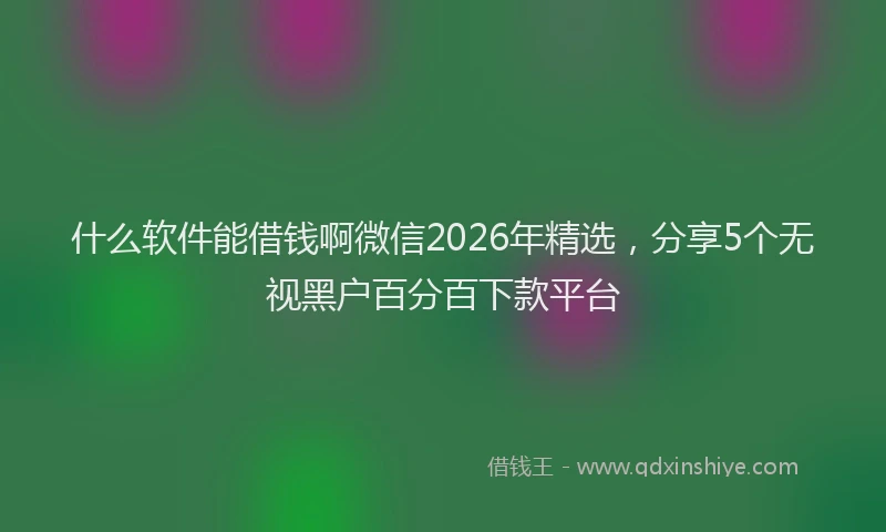 什么软件能借钱啊微信2026年精选，分享5个无视黑户百分百下款平台