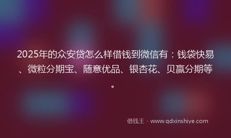 2025年的众安贷怎么样借钱到微信有：钱袋快易、微粒分期宝、随意优品、银杏花、贝赢分期等。