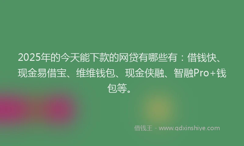 2025年的今天能下款的网贷有哪些有:借钱快、现金易借宝、维维钱包、现金侠融、智融Pro+钱包等。