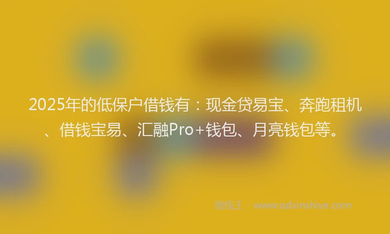 2025年的低保户借钱有：现金贷易宝、奔跑租机、借钱宝易、汇融Pro+钱包、月亮钱包等。
