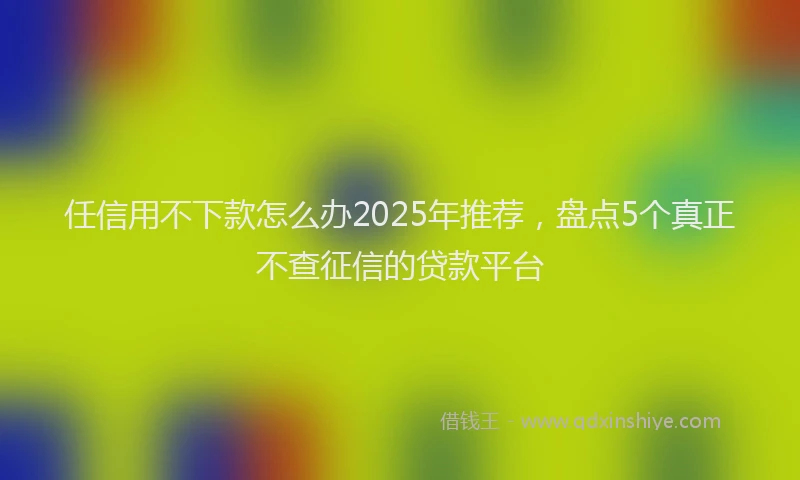 任信用不下款怎么办2025年推荐，盘点5个真正不查征信的贷款平台