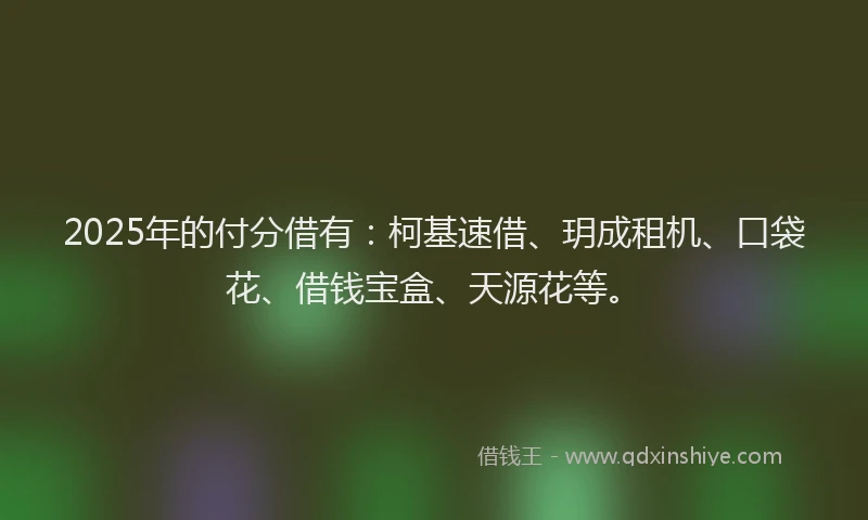 2025年的付分借有：柯基速借、玥成租机、口袋花、借钱宝盒、天源花等。