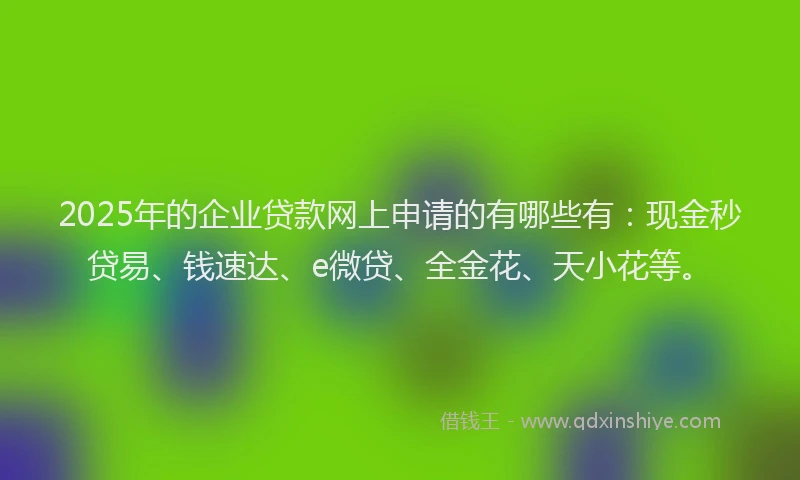 2025年的企业贷款网上申请的有哪些有：现金秒贷易、钱速达、e微贷、全金花、天小花等。