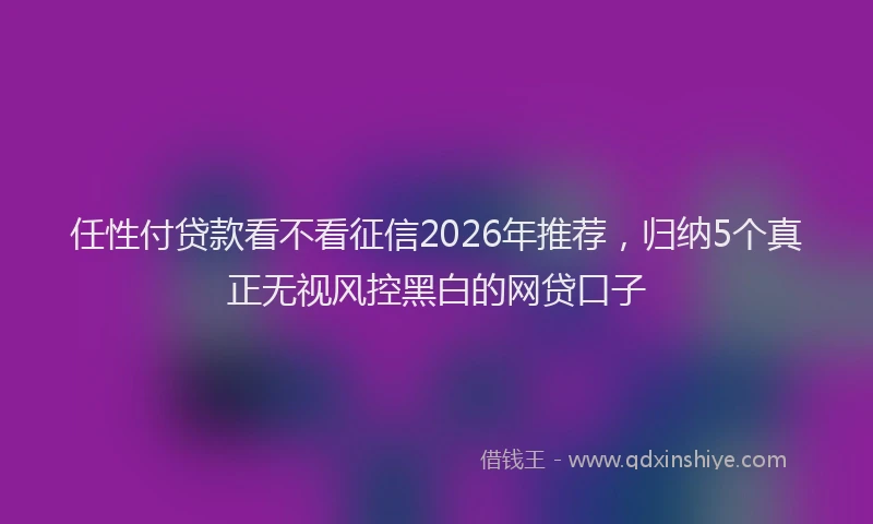 任性付贷款看不看征信2026年推荐，归纳5个真正无视风控黑白的网贷口子
