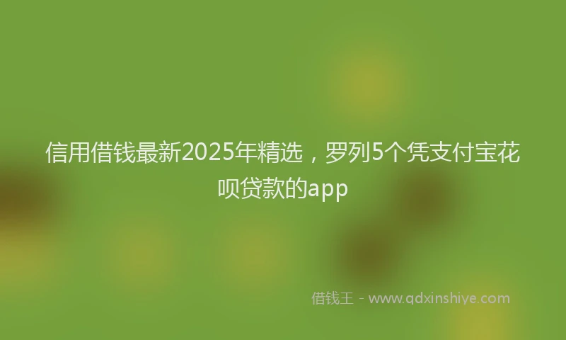 信用借钱最新2025年精选，罗列5个凭支付宝花呗贷款的app
