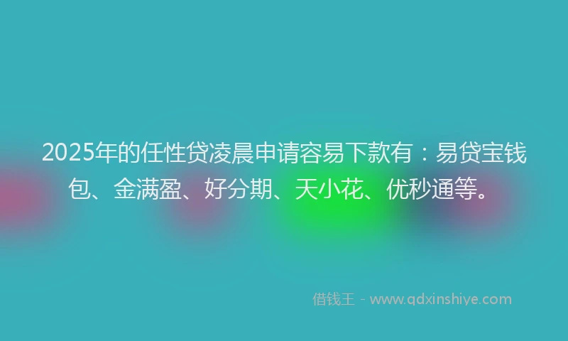2025年的任性贷凌晨申请容易下款有:易贷宝钱包、金满盈、好分期、天小花、优秒通等。