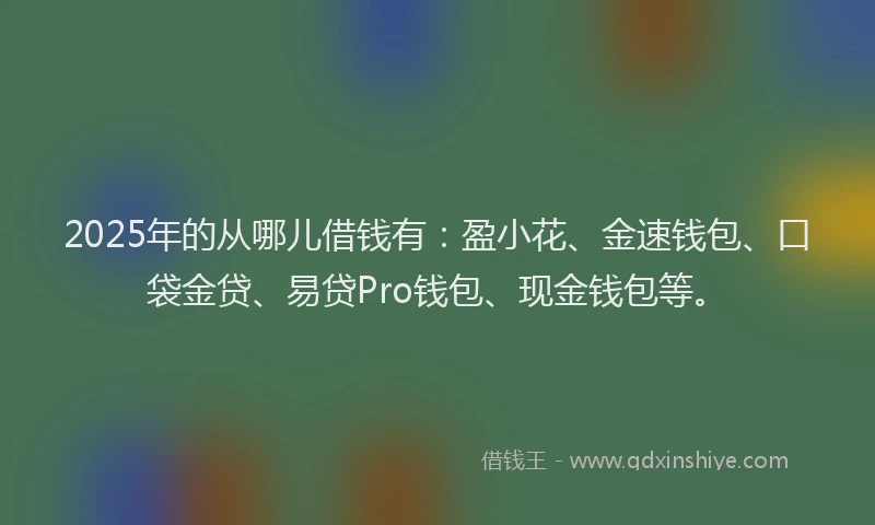 2025年的从哪儿借钱有：盈小花、金速钱包、口袋金贷、易贷Pro钱包、现金钱包等。