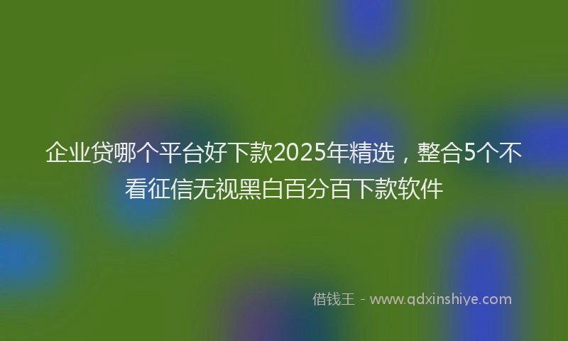 企业贷哪个平台好下款2025年精选，整合5个不看征信无视黑白百分百下款软件