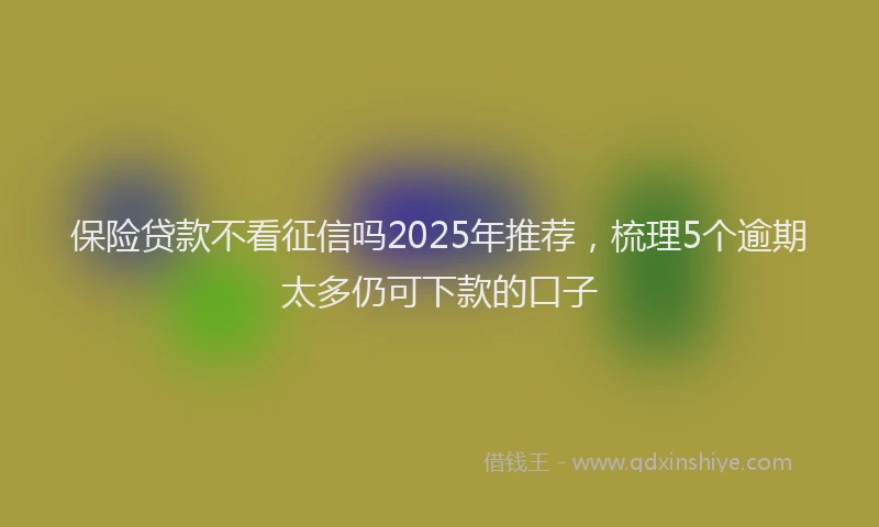 保险贷款不看征信吗2025年推荐，梳理5个逾期太多仍可下款的口子