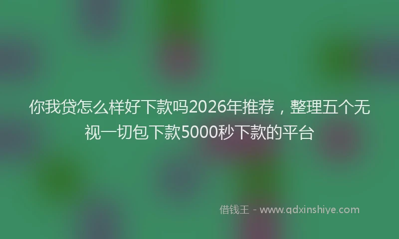 你我贷怎么样好下款吗2026年推荐，整理五个无视一切包下款5000秒下款的平台