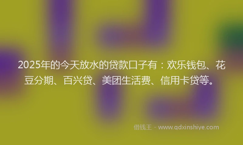 2025年的今天放水的贷款口子有:欢乐钱包、花豆分期、百兴贷、美团生活费、信用卡贷等。