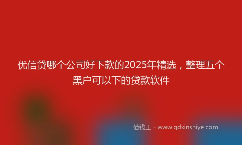 优信贷哪个公司好下款的2025年精选,整理五个黑户可以下的贷款软件