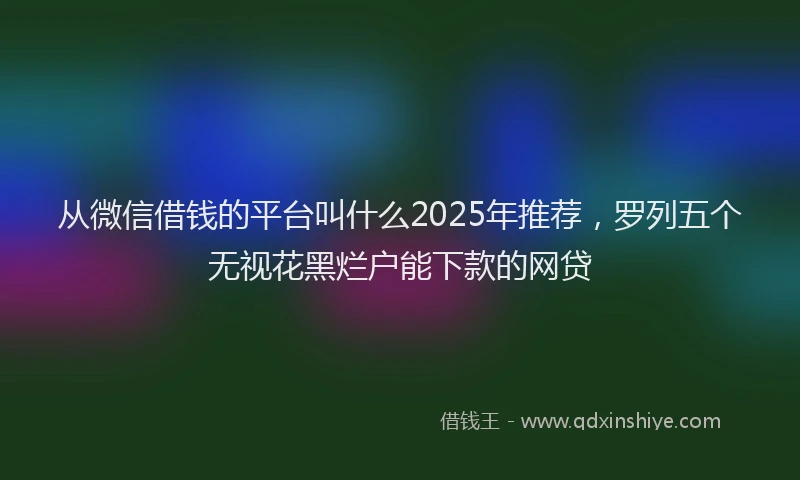 从微信借钱的平台叫什么2025年推荐，罗列五个无视花黑烂户能下款的网贷