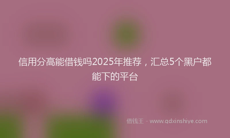 信用分高能借钱吗2025年推荐，汇总5个黑户都能下的平台