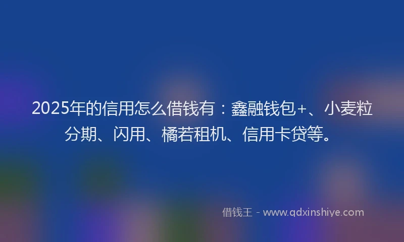 2025年的信用怎么借钱有：鑫融钱包+、小麦粒分期、闪用、橘若租机、信用卡贷等。