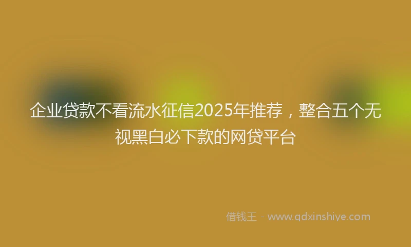企业贷款不看流水征信2025年推荐，整合五个无视黑白必下款的网贷平台