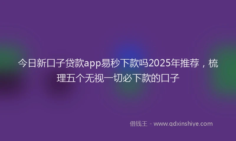 今日新口子贷款app易秒下款吗2025年推荐，梳理五个无视一切必下款的口子