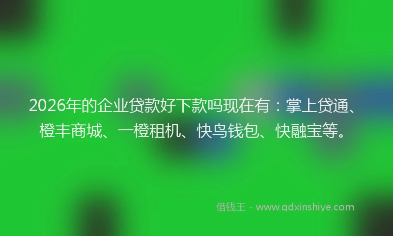 2026年的企业贷款好下款吗现在有：掌上贷通、橙丰商城、一橙租机、快鸟钱包、快融宝等。