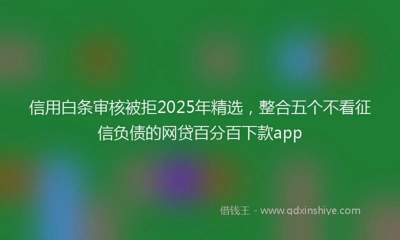 信用白条审核被拒2025年精选，整合五个不看征信负债的网贷百分百下款app