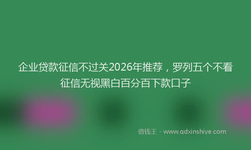 企业贷款征信不过关2026年推荐，罗列五个不看征信无视黑白百分百下款口子