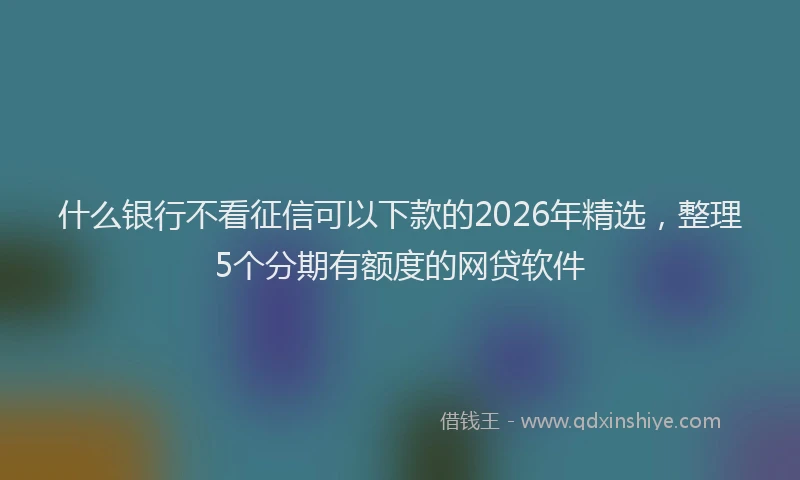什么银行不看征信可以下款的2026年精选，整理5个分期有额度的网贷软件