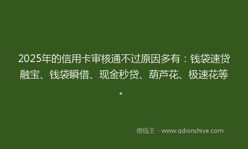 2025年的信用卡审核通不过原因多有:钱袋速贷融宝、钱袋瞬借、现金秒贷、葫芦花、极速花等。