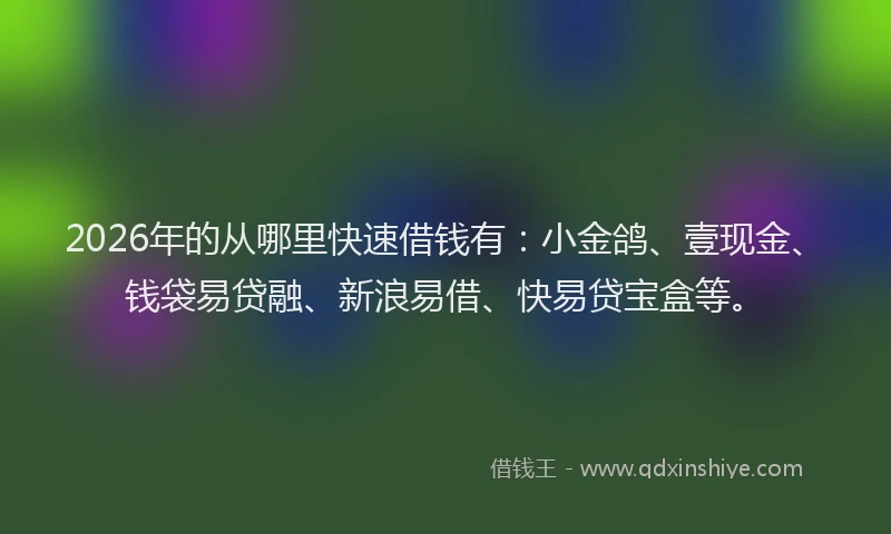 2026年的从哪里快速借钱有：小金鸽、壹现金、钱袋易贷融、新浪易借、快易贷宝盒等。