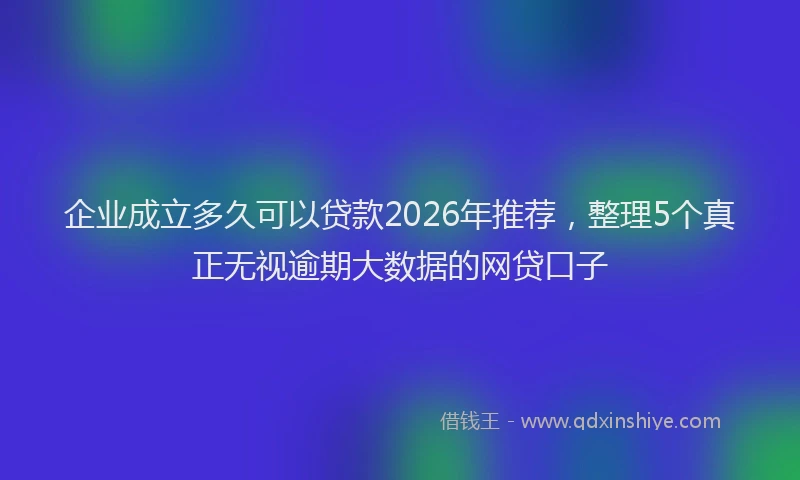 企业成立多久可以贷款2026年推荐，整理5个真正无视逾期大数据的网贷口子