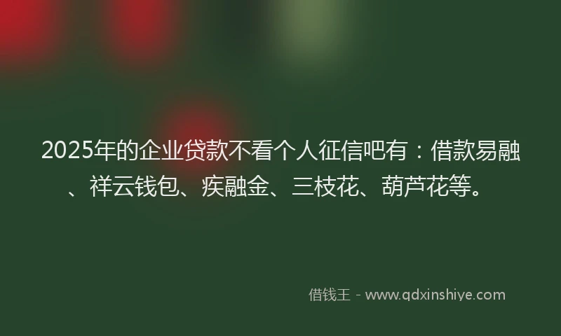 2025年的企业贷款不看个人征信吧有：借款易融、祥云钱包、疾融金、三枝花、葫芦花等。