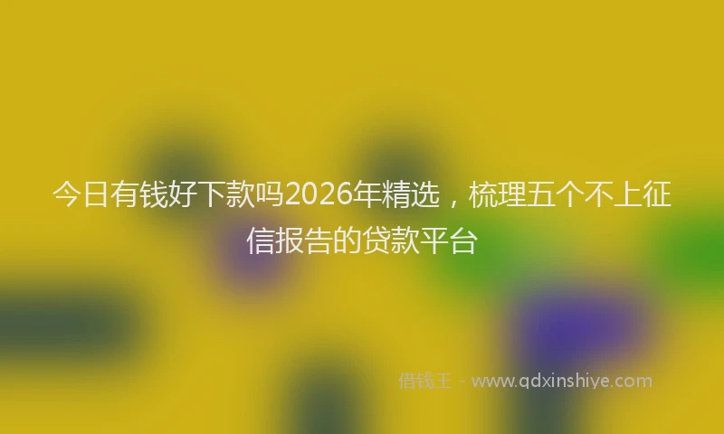 今日有钱好下款吗2026年精选，梳理五个不上征信报告的贷款平台