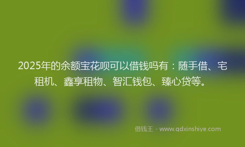 2025年的余额宝花呗可以借钱吗有：随手借、宅租机、鑫享租物、智汇钱包、臻心贷等。
