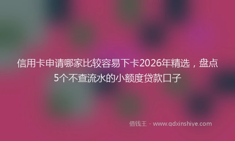 信用卡申请哪家比较容易下卡2026年精选，盘点5个不查流水的小额度贷款口子