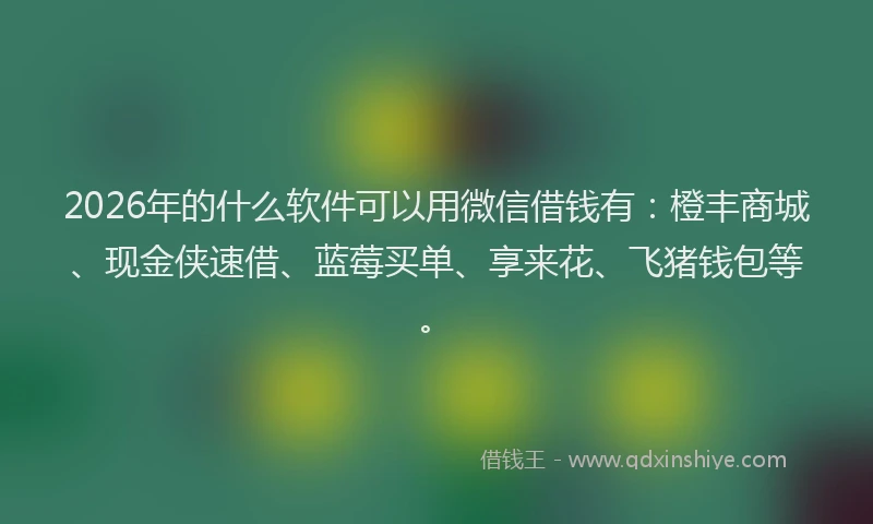2026年的什么软件可以用微信借钱有：橙丰商城、现金侠速借、蓝莓买单、享来花、飞猪钱包等。