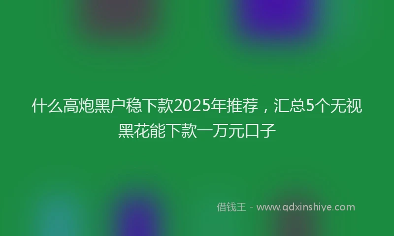 什么高炮黑户稳下款2025年推荐，汇总5个无视黑花能下款一万元口子