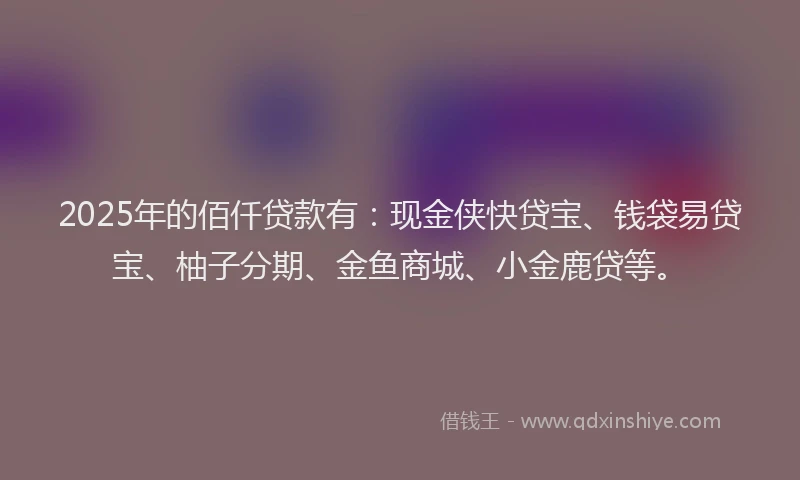 2025年的佰仟贷款有：现金侠快贷宝、钱袋易贷宝、柚子分期、金鱼商城、小金鹿贷等。