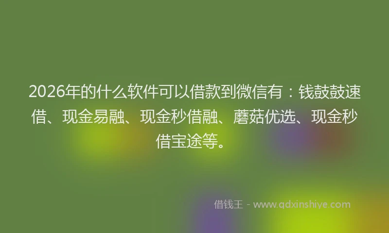 2026年的什么软件可以借款到微信有：钱鼓鼓速借、现金易融、现金秒借融、蘑菇优选、现金秒借宝途等。