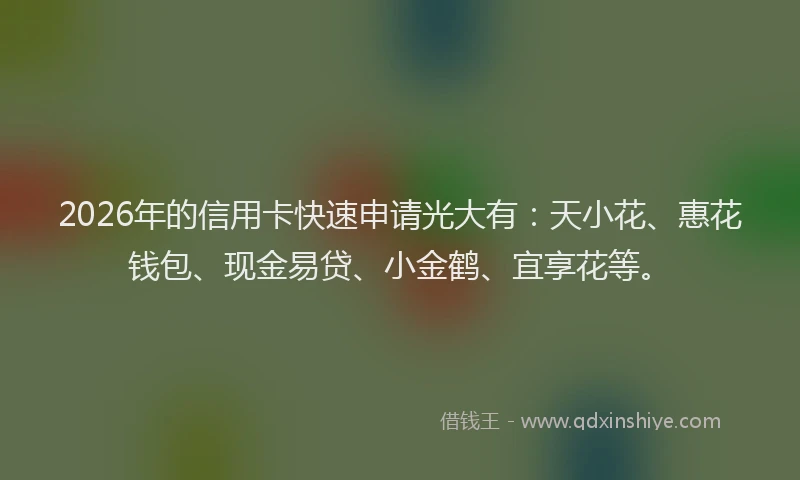 2026年的信用卡快速申请光大有：天小花、惠花钱包、现金易贷、小金鹤、宜享花等。