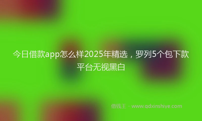 今日借款app怎么样2025年精选,罗列5个包下款平台无视黑白
