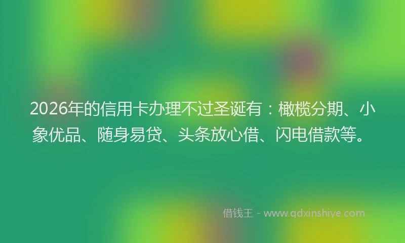 2026年的信用卡办理不过圣诞有：橄榄分期、小象优品、随身易贷、头条放心借、闪电借款等。